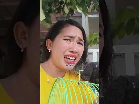 Mama Kaget Teman Ara Ksih Tw Tupai Ara Ktemu Dibantu Tangkap Sm Penjual Baso Malang. Msukin Kandang? thumbnail