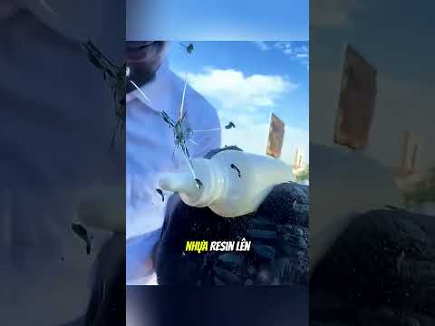 Dịch vụ sửa kính xe đặc biệt ở Châu Phi#daochieu #shorts thumbnail
