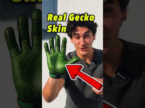 Climbing Walls With Gecko Skin! thumbnail