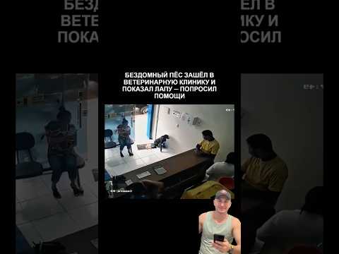 Вы когда-нибудь видели, чтобы они приходили сами? thumbnail