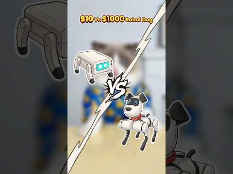 Robot dog competition! #thatlittlepuff thumbnail
