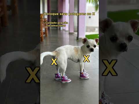 CUIDADO PRA NÃO SE EMOCIONAR thumbnail