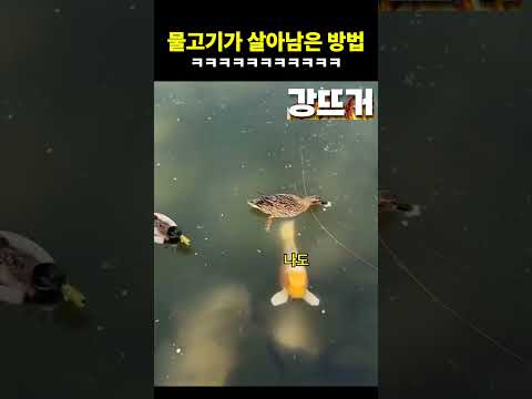 넌 뭐야 애초에 ㅋㅋㅋㅋ thumbnail