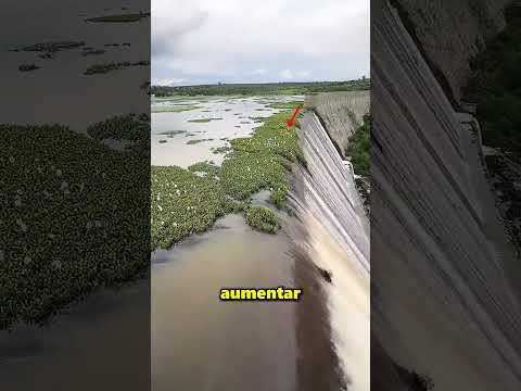 Toda El Agua De Esta Presa Se Vació ? thumbnail