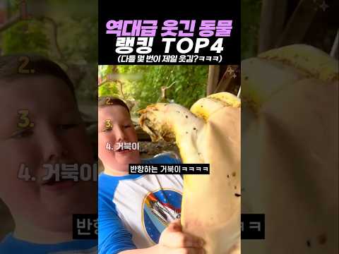 역대급 웃긴 동물 랭킹 TOP4 thumbnail