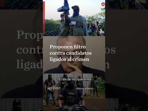 Reforma electoral pondría bajo revisión a candidatos antes de las elecciones thumbnail