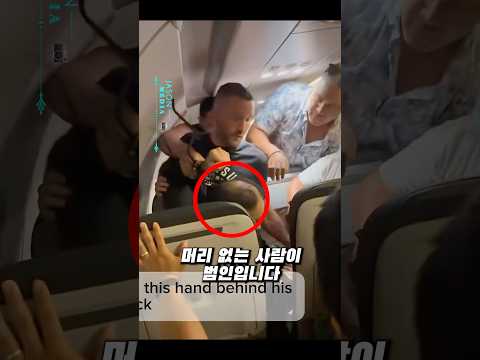 와 비행기 비상문 열려던 빌런을 제압했네요 thumbnail