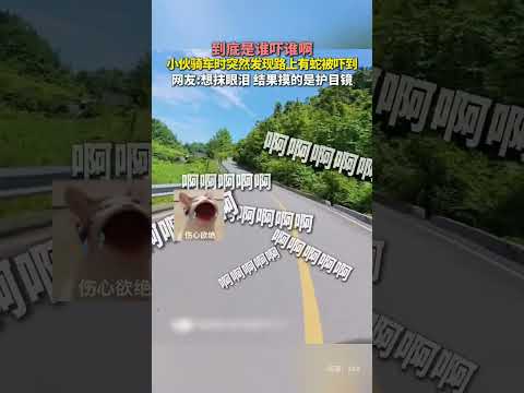 到底是誰嚇誰啊？小夥騎車時突然發現路上有蛇被嚇到，網友：想抹眼淚，結果摸的是護目鏡。 thumbnail