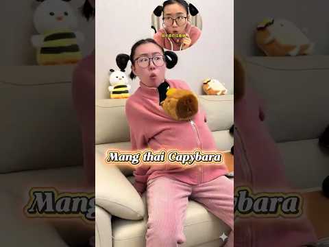 Mang thai chuột Capybara#shorts #haihuoc thumbnail