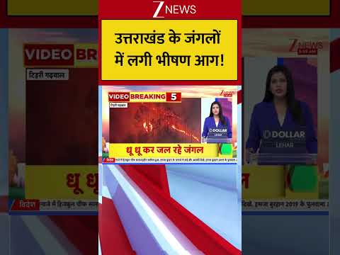 Uttrakhand : उत्तराखंड के जंगलों में लगी भीषण आग! Breaking| Shorts| ZEE thumbnail