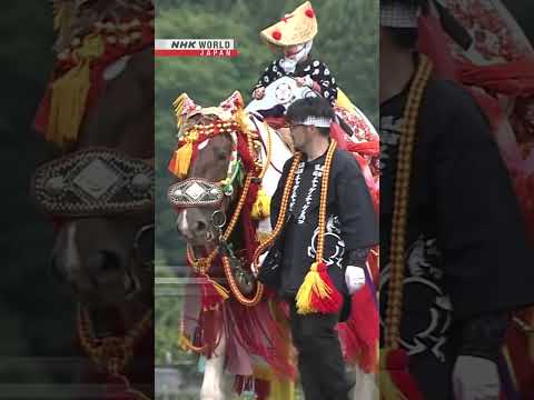 Horses parade in colorful 'Chagu Chagu Umakko' festivalーNHK WORLD-JAPAN NEWS #shorts thumbnail