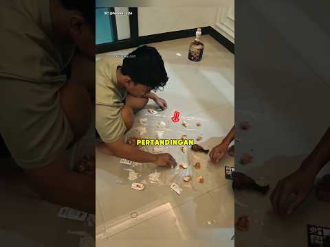 Mereka Bermain Catur Menggunakan Makanan thumbnail