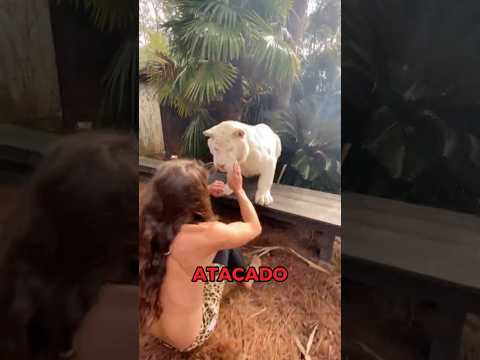 ELE TEM UM TIGRE DE ESTIMAÇÃO ? thumbnail