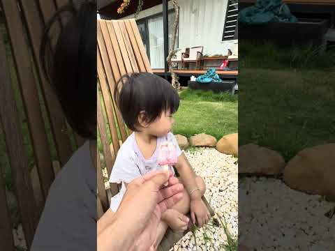 LNS - Có vẻ, con gái nhỏ không thích ăn kem || My little daughter doesn't like ice cream. #shorts thumbnail