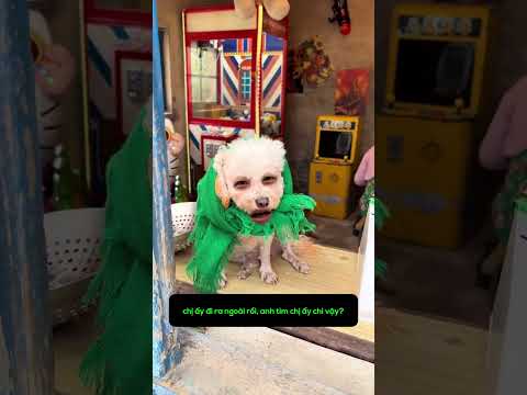 Đổi kẹo khôn lõi! thumbnail