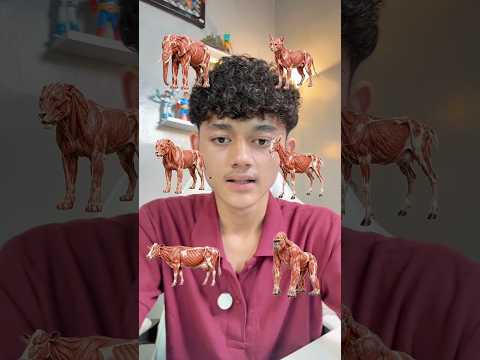 harus sesuai sama hewannya thumbnail