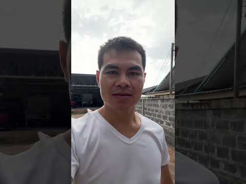 ไฮไลต์ของไลฟ์สด thumbnail