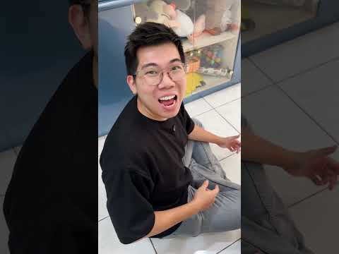 Pada senang balapan mobil mainan thumbnail