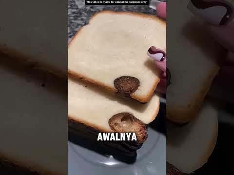 SESUATU YANG ANEH PADA ROTI❗️ thumbnail