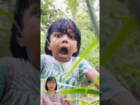 Anh trai đi bắt rắn #trending #trendingshorts #trendingvideo #shorts #shortsviral #viralshorts thumbnail
