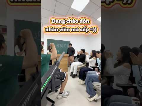 Khi Sếp Béo Thấy Được Quả Súng Pháo Giấy Cực Xịn ? #trending thumbnail