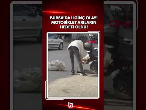Bursa’nın İnegöl ilçesinde park halindeki motosikleti arılar sardı! #shorts thumbnail