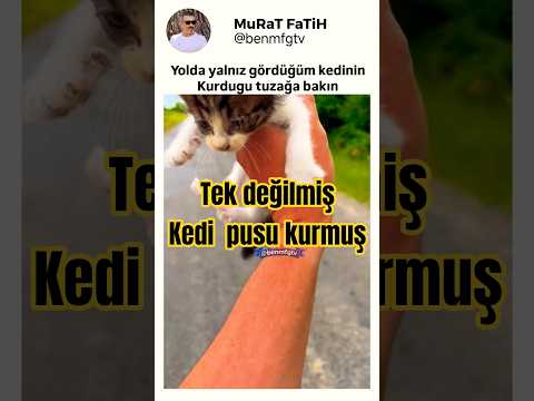 Birazdan Olacaklara İnanamayacaksınız... #kedi #yavruhayvanlar #shortsvideo thumbnail
