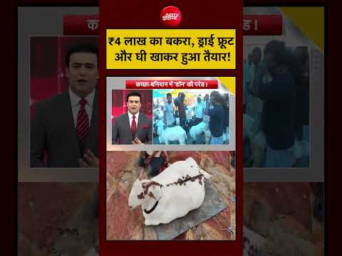 Syed Suhail | Bakrid | Eid al-Adha | UP News: ₹4 लाख का बकरा, ड्राई फ्रूट और घी खाकर हुआ तैयार! thumbnail