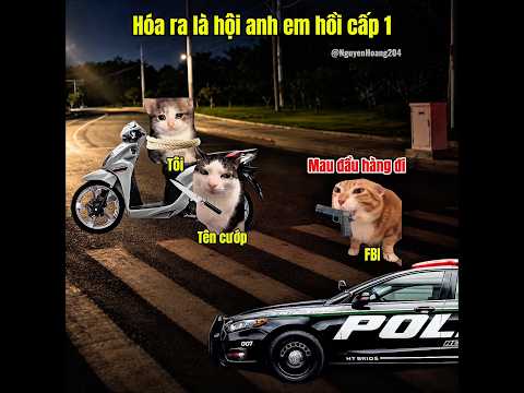 Hóa ra là hội anh em hồi cấp 1 #meme #catmeme thumbnail