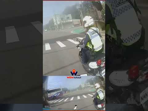 鴿子面前直接轉？優秀 thumbnail