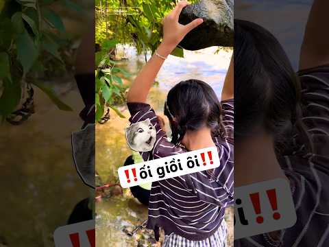 Kế điệu hổ ly sơn của Gia hân thumbnail