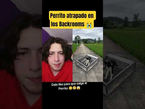 Perrito atrapado en los backrooms ?? - Hey Crispin #humor thumbnail