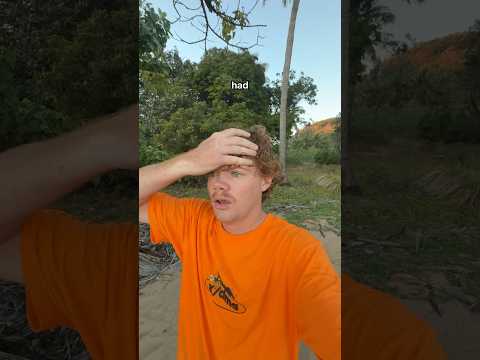 I’m a pelican thumbnail