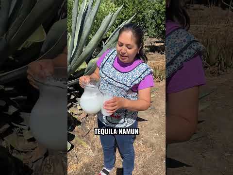 Cara Dapat Tequila Gratis! thumbnail