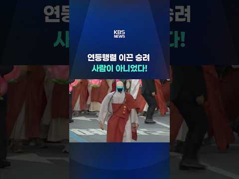 연등행렬 이끈 승려…사람이 아니었다! #shorts / KBS thumbnail