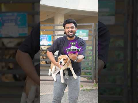 Chote bhai ka Robo Dog! #shorts thumbnail