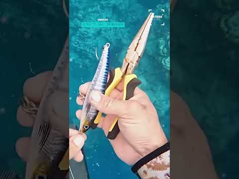 Sea Turtle Rescue Caught On Camera 🐢🥰 #animalrescue thumbnail