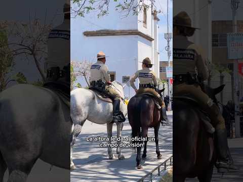 El arma secreta de la policía que nadie esperaba seguir viendo thumbnail