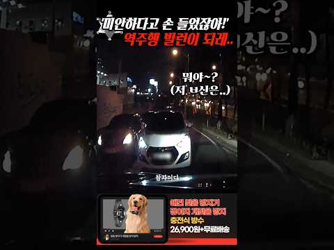 '미안하다고 손 들었잖아!!' 역주행으로 튀어나온 빌런이 적반하장 화를 내더니.. thumbnail