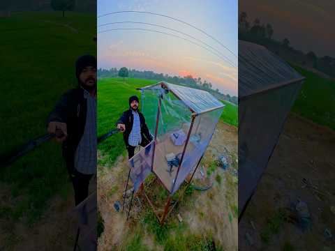 24 Hours Challenge In Polythene House #shorts #outofmindexperiment thumbnail