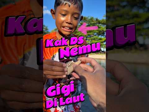 Kak DS nemu Gigi di laut #comedy #minivlog #anakdesa #gigi #laut thumbnail