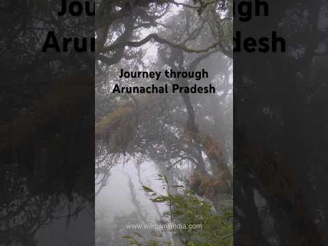 A journey through Arunachal Pradesh thumbnail