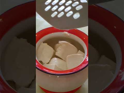 Howto make Stinky Tofu. #exlittlebeans #funnyvideo #funnycats #cooking thumbnail