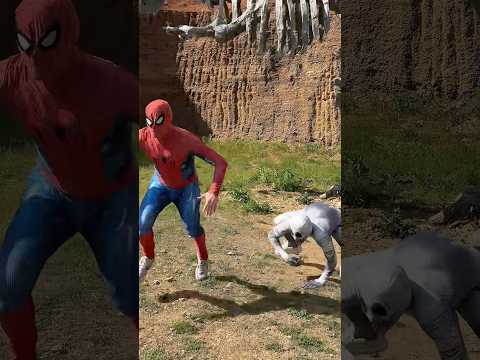 Funny Spiderman🤣 #spiderman thumbnail