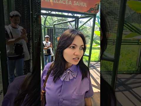 ko om semy ngga bisa masuk yah #trandingshorts thumbnail
