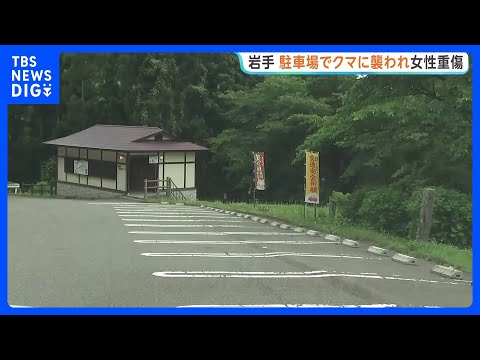 岩手で女性（48）がクマに襲われ大けが 顔を骨折　神社の駐車場で車から降りたところで　花巻市｜TBS NEWS DIG thumbnail