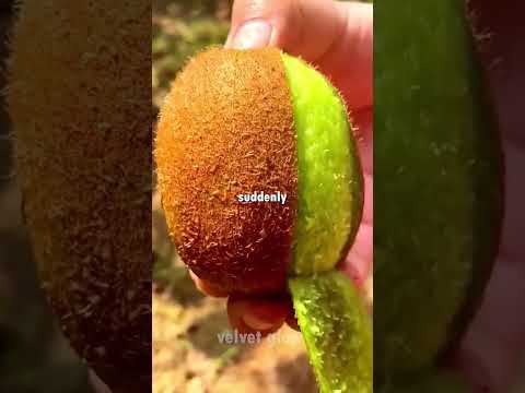 Weird Apple Combinations That Change the Flavor 🍉😳 thumbnail