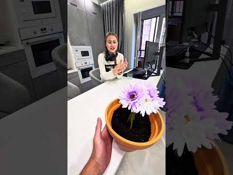 Flower girl endlessly cat mode😻♥️ thumbnail