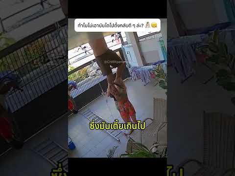 ทำไมไม่เอาบันไดไปตั้งกลับดี ๆ ล่ะ 🪜🤐#leadership #cctv #knowledge thumbnail