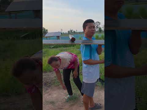 อ้ายสิเอาแผ่นไม้ไปใส่เถียงจักคราวก่อนเด้อ #funny #comedy #ขึ้นหน้าฟีด thumbnail